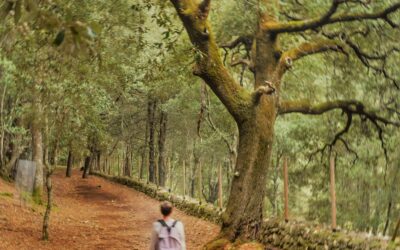 La Tradición Celta de Samhain: El Origen Espiritual de Halloween y su Valor para los Niños
