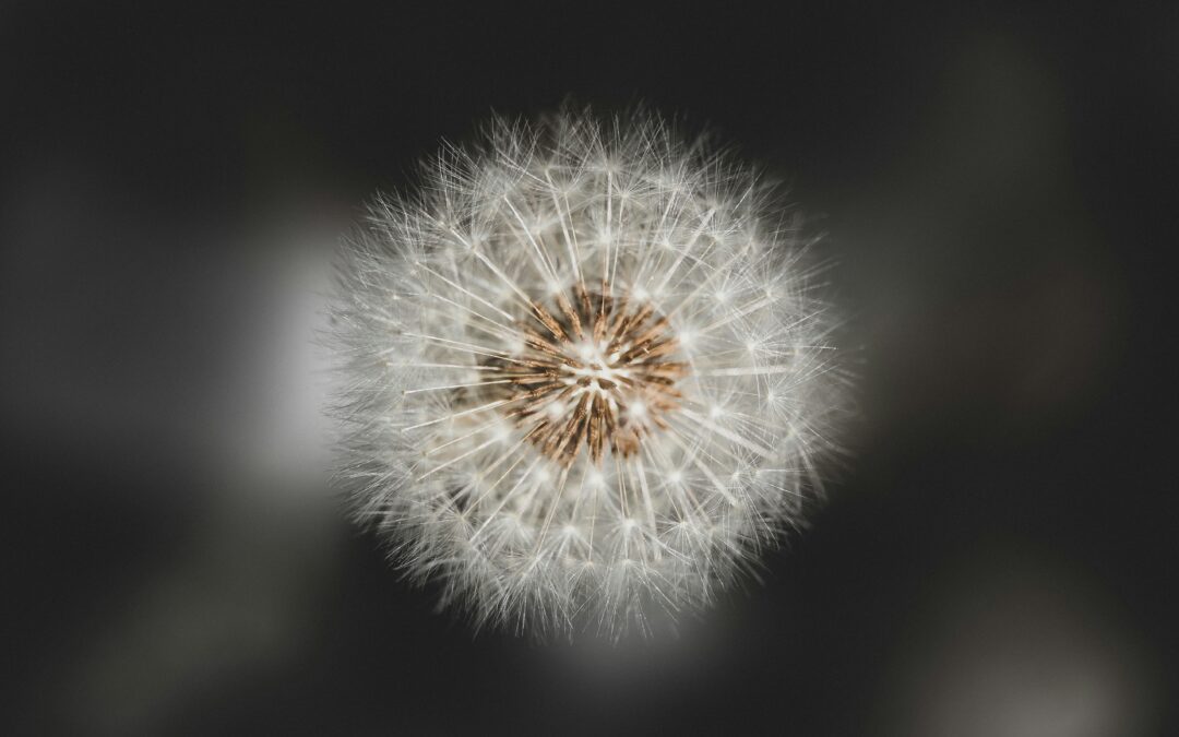 ¿Por qué nos llaman “lloricas”? Una reflexión sobre la falta de empatía hacia las personas Altamente Sensibles
