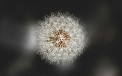 ¿Por qué nos llaman “lloricas”? Una reflexión sobre la falta de empatía hacia las personas Altamente Sensibles
