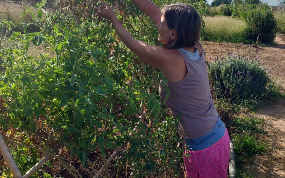 Cultivar dentro y fuera: lo terapéutico de volver a la tierra